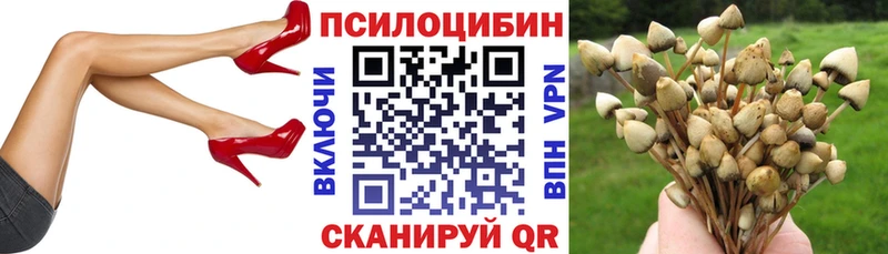 Псилоцибиновые грибы прущие грибы  Кушва 