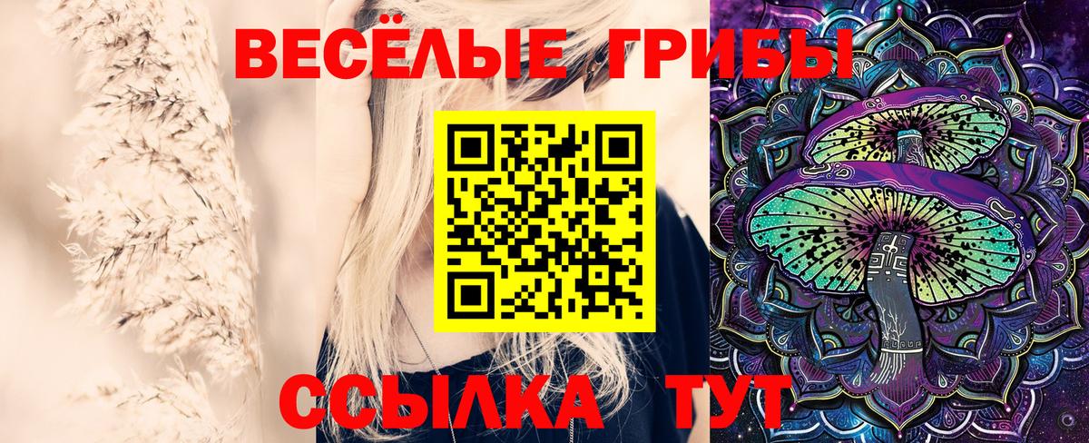 Галлюциногенные грибы Cubensis Кушва
