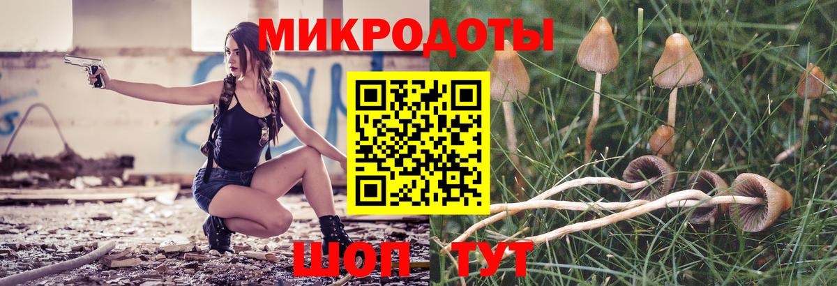 Псилоцибиновые грибы Cubensis  Вход с VPN  Кушва 